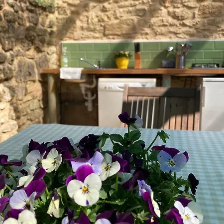Le Chevrefeuille De Charme Saint-Cyprien (Dordogne)